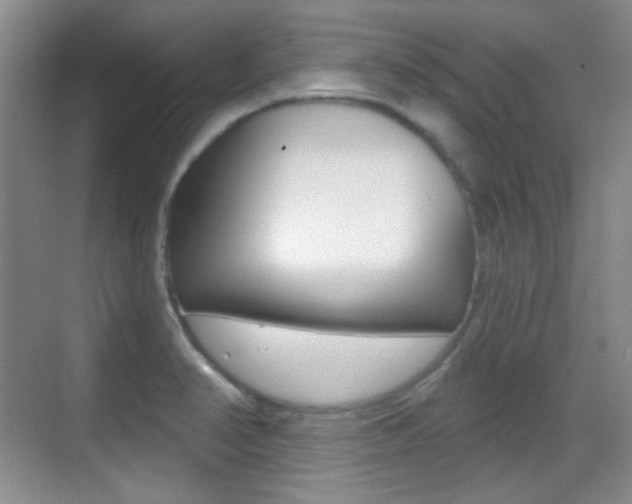 X0000070401374200606090918