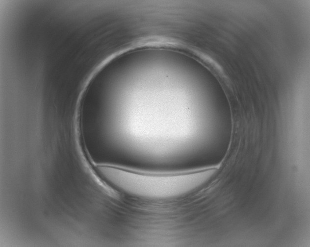 X0000070401375200606090918