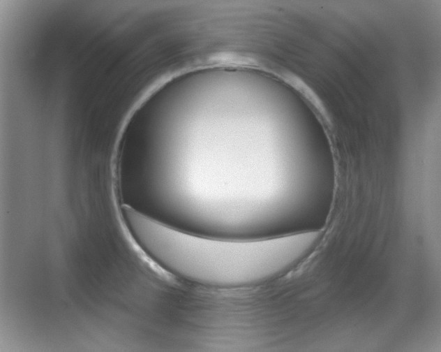 X0000070401381200606090918