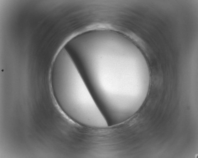 X0000070401382200606090918