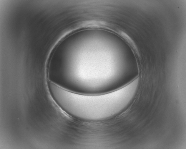 X0000070401384200606090918