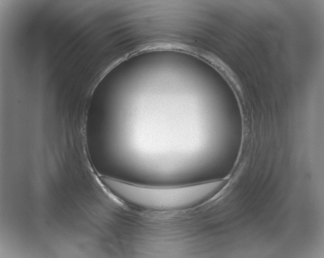 X0000070401385200606090918