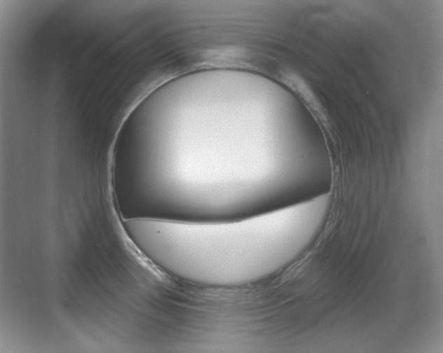 X0000070401386200606090918