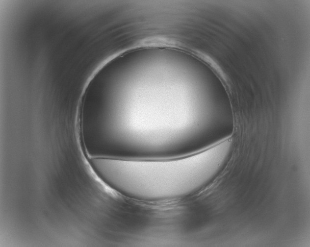 X0000070401387200606090918