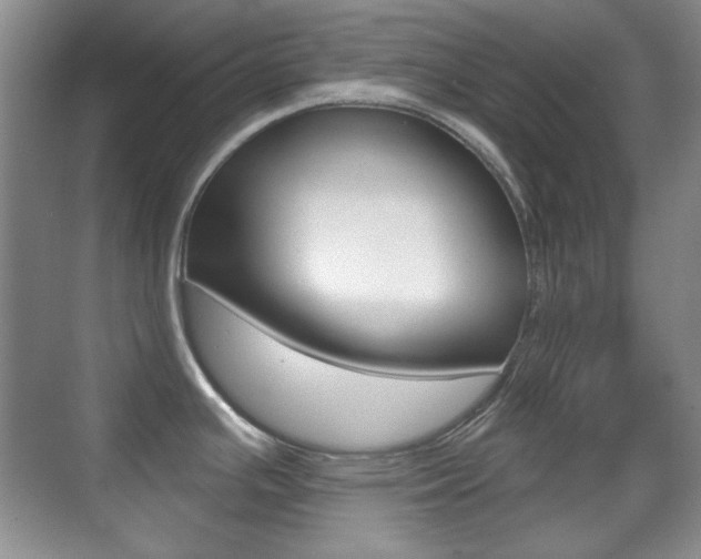 X0000070401391200606090918