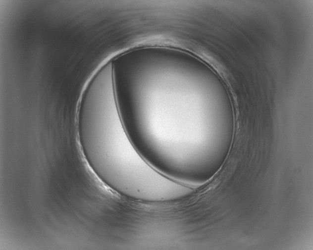 X0000070401392200606090918