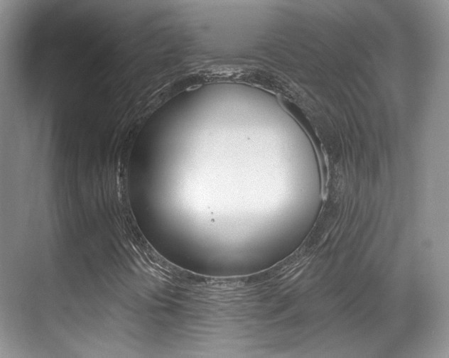 X0000070401394200606090917