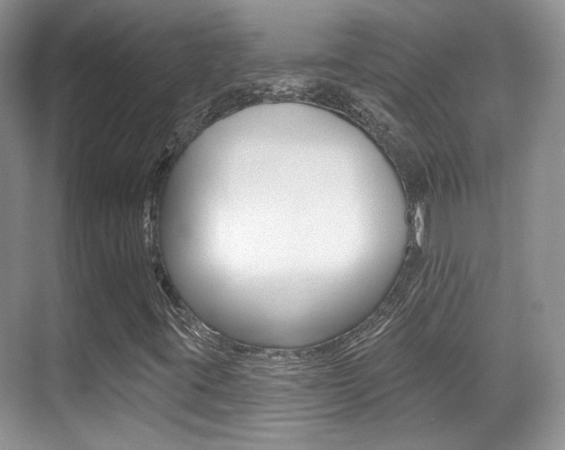 X0000070401395200606090917