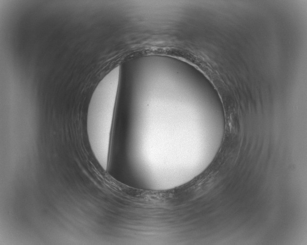 X0000070401396200606090917