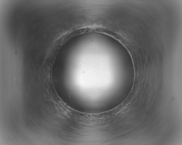 X0000070401398200606090917