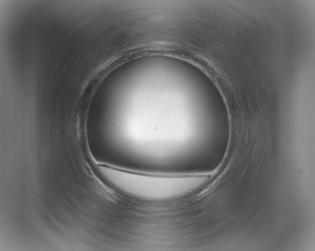 X0000070401402200606090918