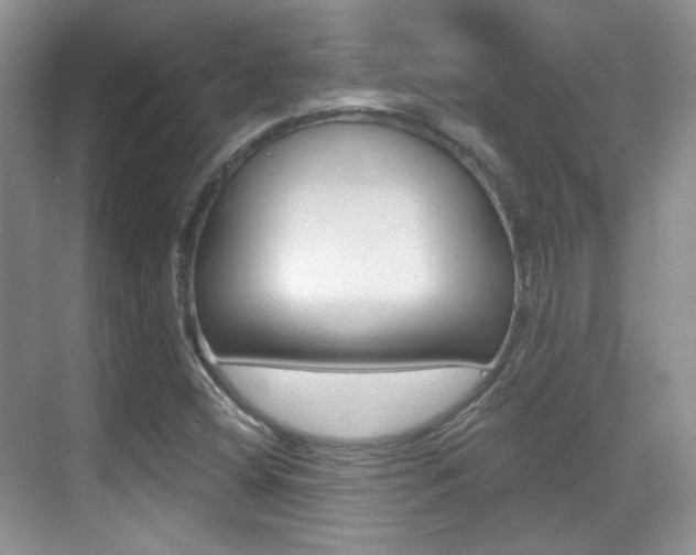 X0000070401404200606090918