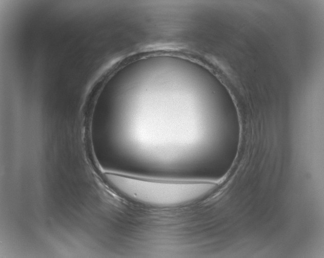 X0000070401406200606090918