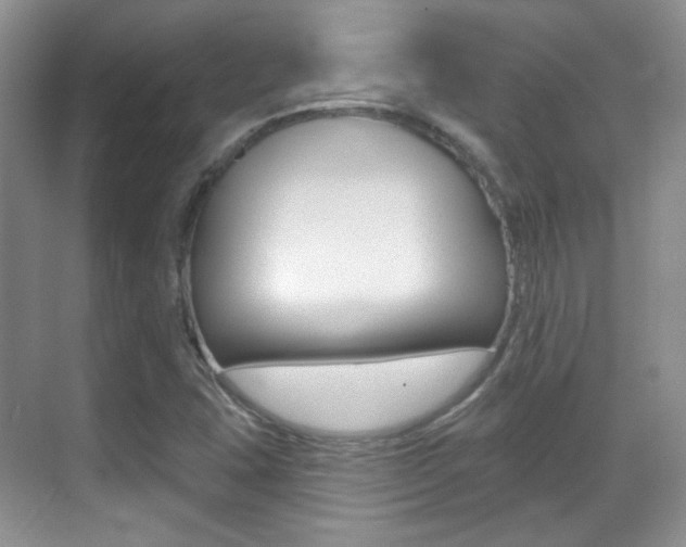 X0000070401407200606090918