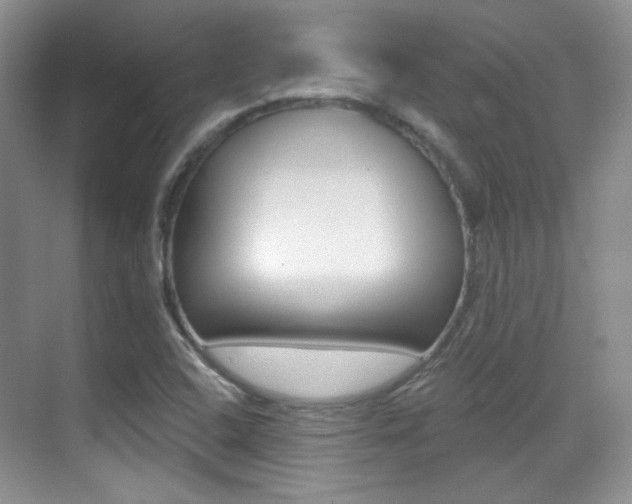 X0000070401408200606090918