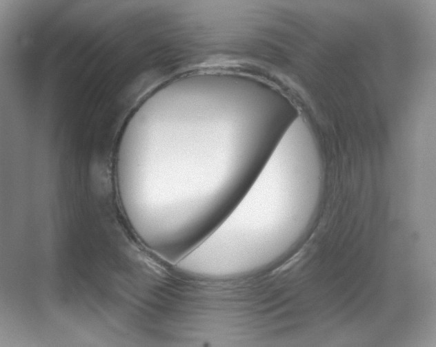 X0000070401409200606090918