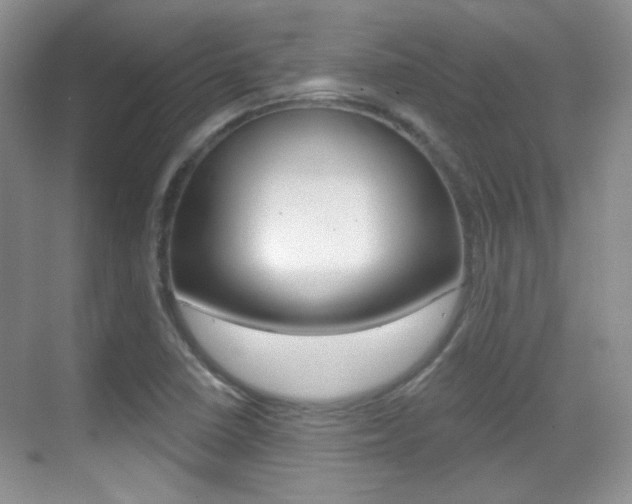 X0000070401410200606090918