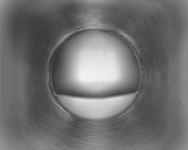 X0000070401415200606090918