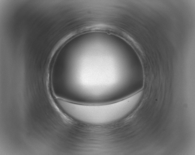 X0000070401418200606090918