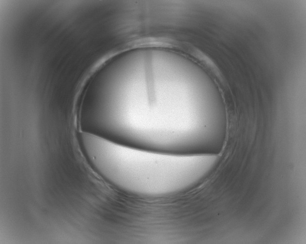X0000070401419200606090918