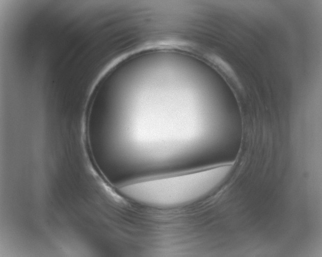 X0000070401420200606090918