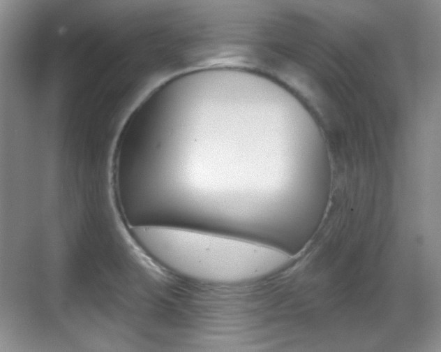 X0000070401423200606090918