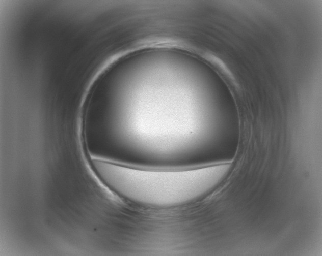 X0000070401424200606090918