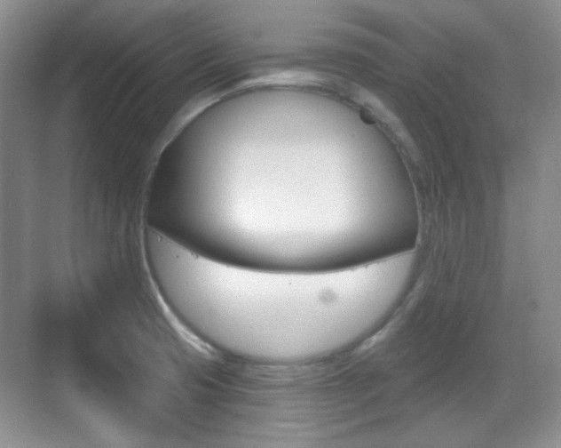 X0000070401425200606090918