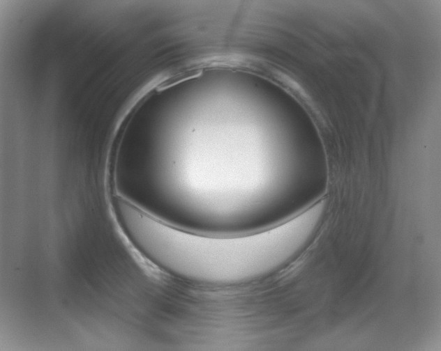 X0000070401426200606090918