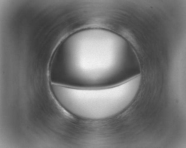 X0000070401428200606090918