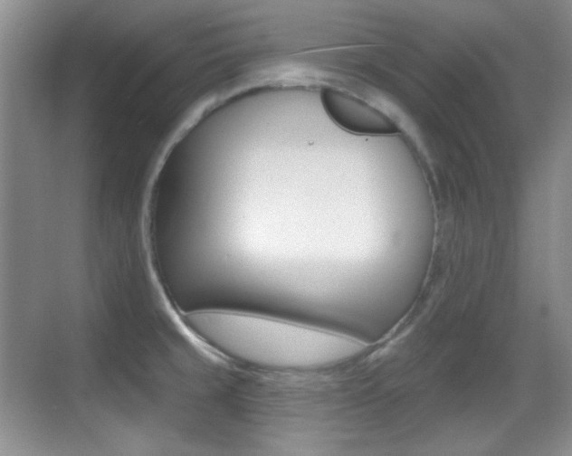 X0000070401429200606090918