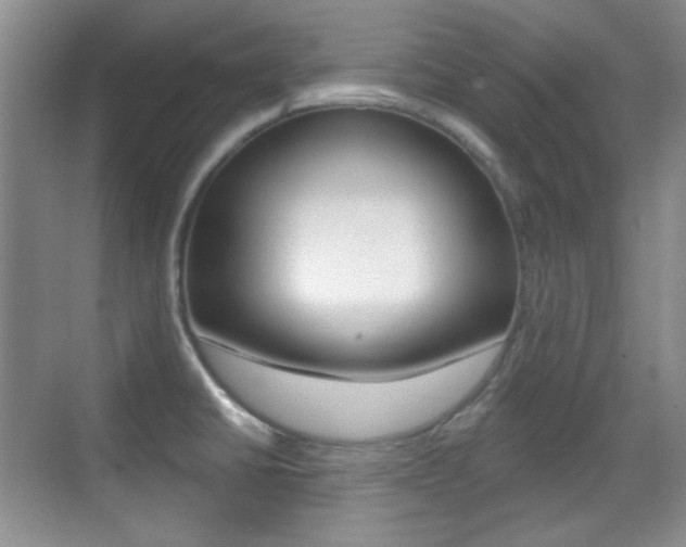 X0000070401430200606090918