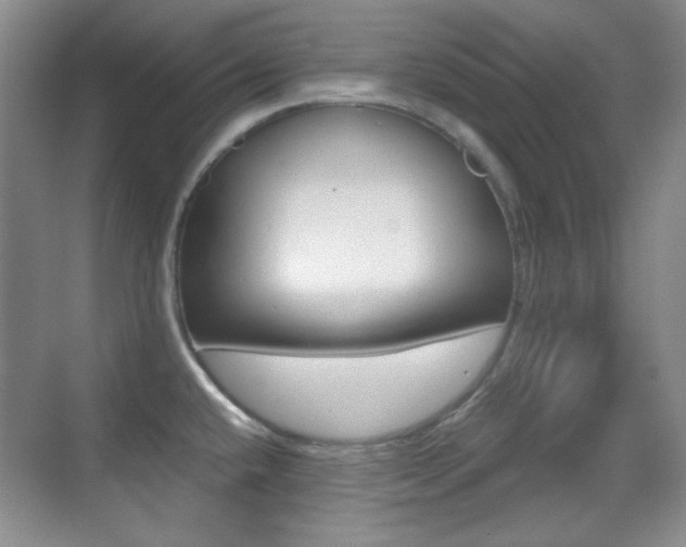 X0000070401432200606090918