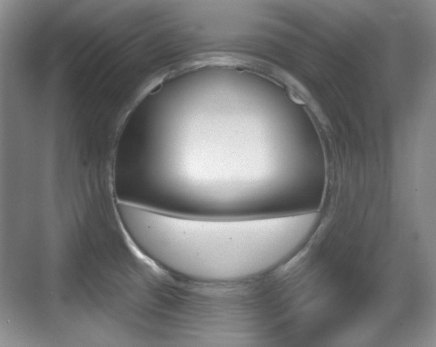 X0000070401433200606090918