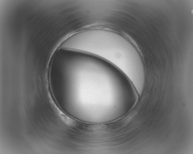 X0000070401434200606090918