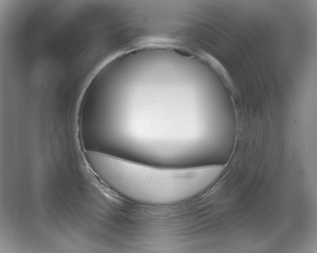 X0000070401435200606090918