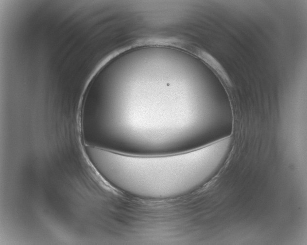 X0000070401436200606090918