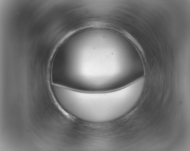 X0000070401437200606090918