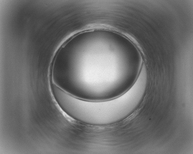 X0000070401438200606090918