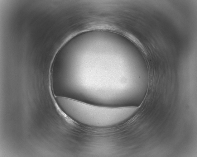 X0000070401439200606090918