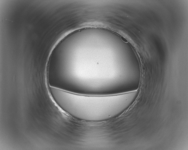 X0000070401440200606090918