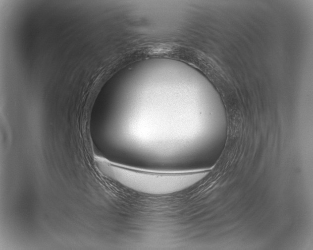 X0000070401441200606090917