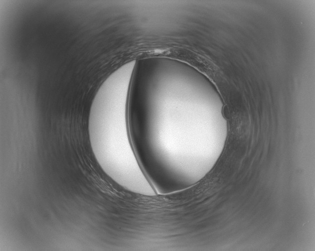X0000070401442200606090917