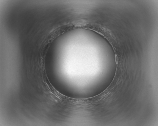 X0000070401445200606090917