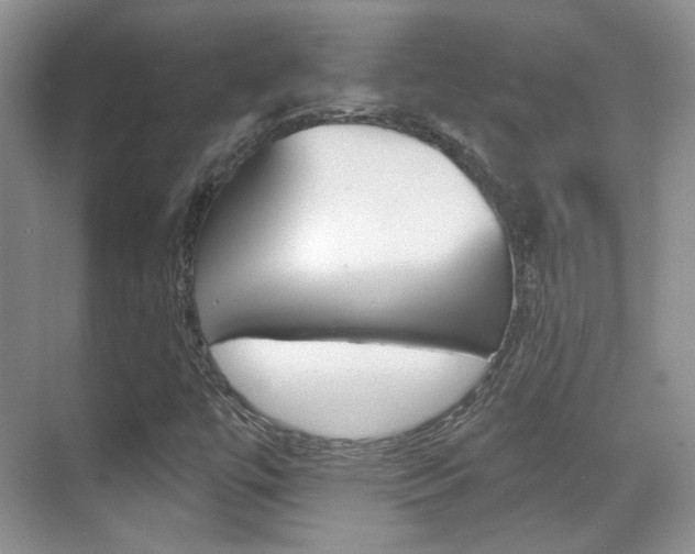 X0000070401447200606090917