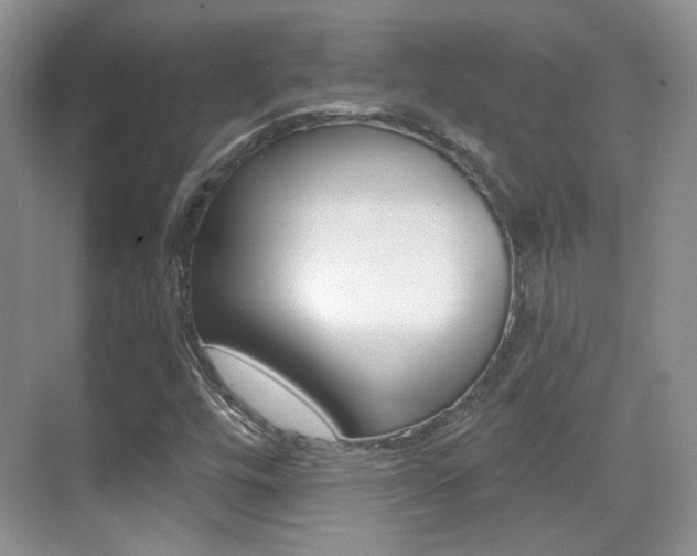 X0000070401448200606090917