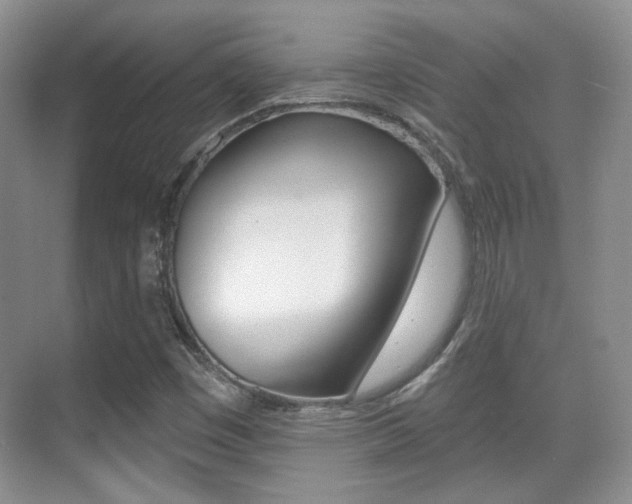 X0000070401449200606090917