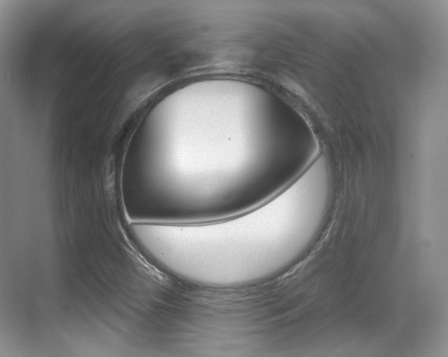 X0000070401450200606090917
