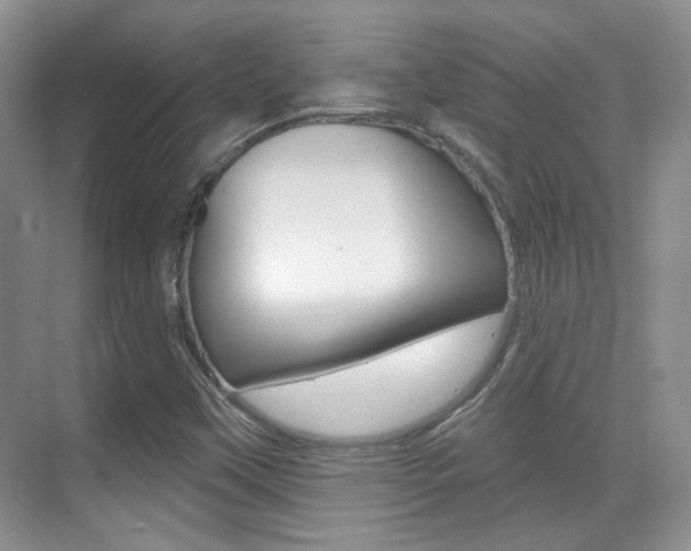 X0000070401451200606090917