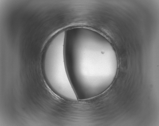 X0000070401452200606090917